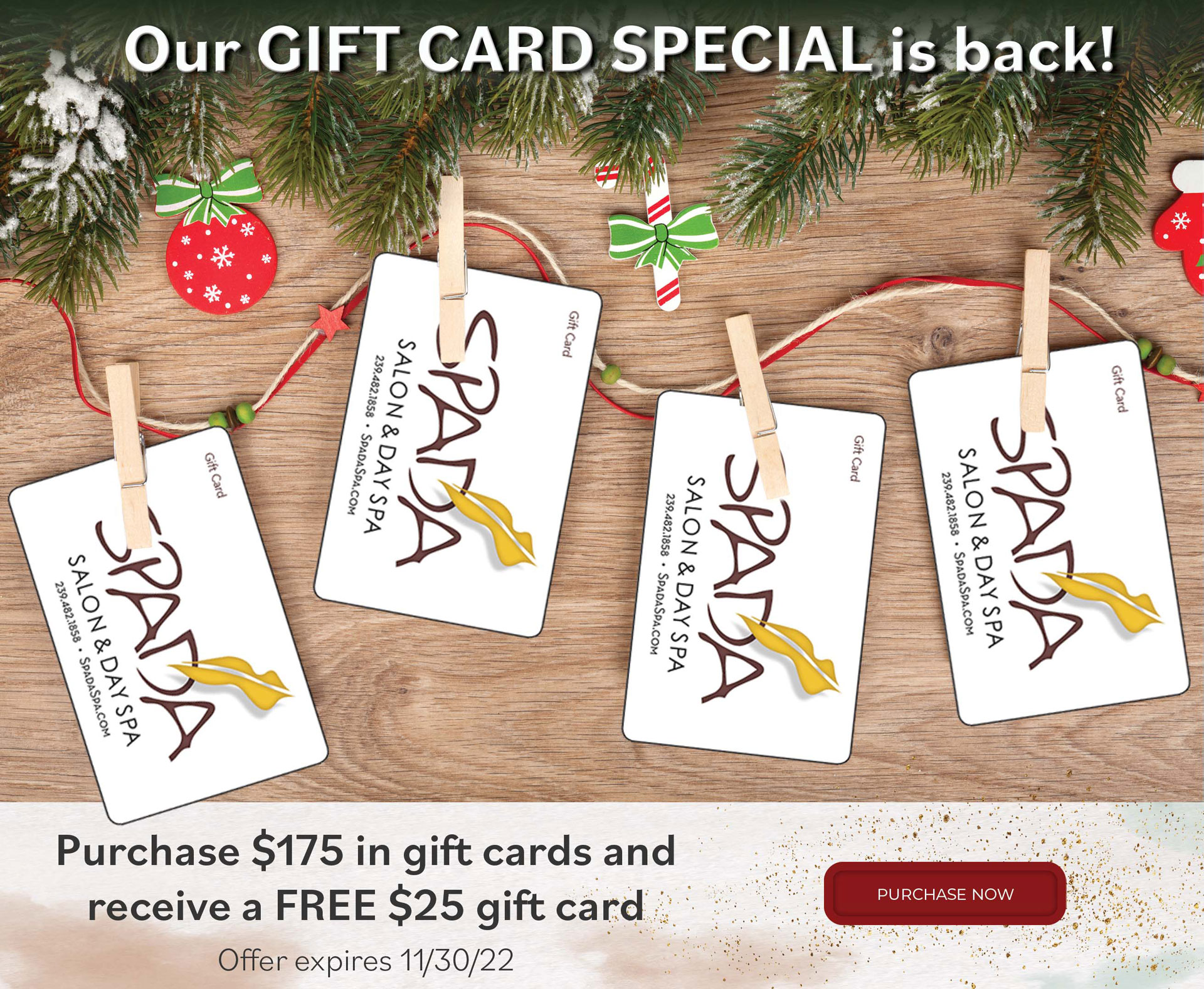 Our gift card special is back! Purchase $175 in gift cards and receive a free $25 gift card. Offer expires 11/30/22. Purchase now.